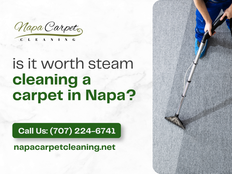 Is It Worth Steam Cleaning A Carpet In Napa